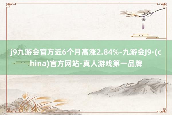 j9九游会官方近6个月高涨2.84%-九游会J9·(china)官方网站-真人游戏第一品牌