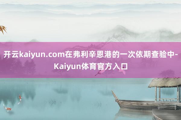 开云kaiyun.com在弗利辛恩港的一次依期查验中-Kaiyun体育官方入口