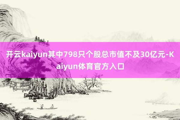 开云kaiyun其中798只个股总市值不及30亿元-Kaiyun体育官方入口